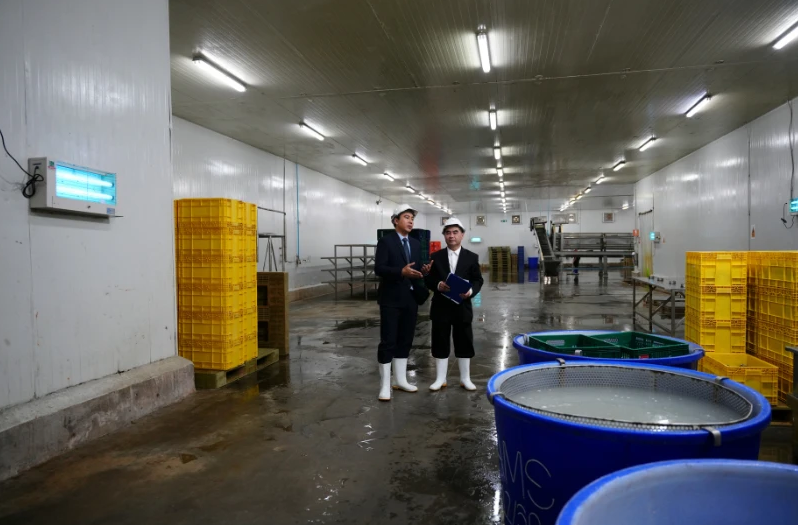Frozen cold storage
